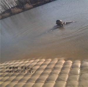 Estructura de revestimiento para colchón geotextil tejido, cubierta para colchón, protección para Orilla, directo de fábrica - Product Image 6