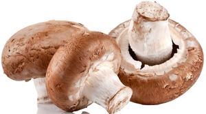 Champiñones enteros congelados al mejor precio para champiñones blancos de calidad superior producto de categoría superior Frozen Shii-take - Product Image 5