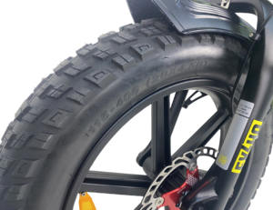 QUEENE/nouveau vélo électrique pour enfants <span class=keywords><strong>20</strong></span> <span class=keywords><strong>pouces</strong></span> super moteur 750W 1000W gros pneu neige vélo de montagne électrique 73 Ebike - Product Image 5