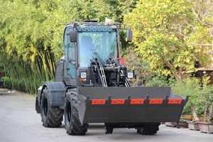 جرافة صغيرة ذات عجلة من <span class=keywords><strong>WOLF</strong></span> عالية الجودة بمحرك Euro 5 - Product Image 4