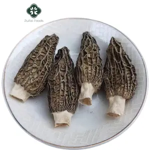 Fungo di morel nero essiccato di alta qualità nuovo raccolto di Morchella essiccata selvatica Esculenta