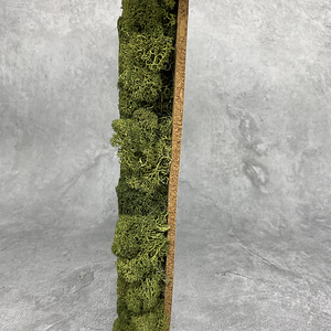 Usine en gros personnalisé Haute Qualité Préservé <span class=keywords><strong>Mousse</strong></span> panneau décoratif <span class=keywords><strong>fleurs</strong></span> mur <span class=keywords><strong>fleurs</strong></span> artificielles - Product Image 5