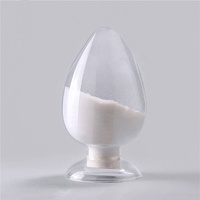 Huifu Nano HL-300, Sílice Hidrófila en Fase Gaseosa a Nivel Nanométrico, Agente Anti-Caída, 99% de Pureza, para Recubrimientos y Pinturas