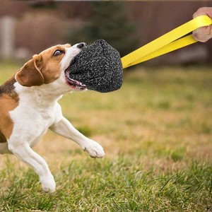 Kingtale Squeaky Balls <span class=keywords><strong>para</strong></span> perros Small Fetch Balls Masticar pelota de goma <span class=keywords><strong>para</strong></span> perros <span class=keywords><strong>roedores</strong></span> con picos - Product Image 2