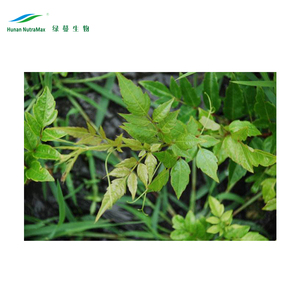 Poudre d'extrait de plante en vrac Extrait de thé de vigne naturel 98% <span class=keywords><strong>DHM</strong></span> - Product Image 4