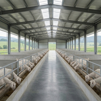 Venta Directa de Fábrica: Nave Prefabricada para Aves de Corral, Estructura de Acero, Establos para Ovejas, Cobertizo para Ganado
