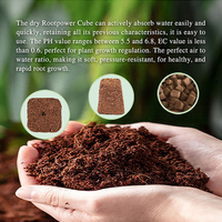 Usine Coco Coir Tourbe Croissance Démarreur Plug Culture Légumes Plante Sol pour Couper Les Semis Croissant 50 Pcs