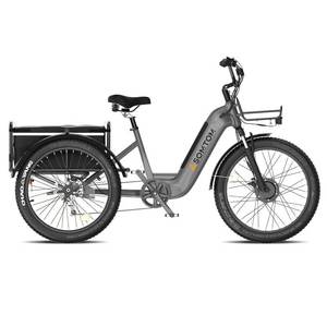 Vélo <span class=keywords><strong>cargo</strong></span> électrique polyvalent à cadre bas 500W 48V avec batterie au lithium 24 pouces - Pour usage familial et professionnel - Product Image 1