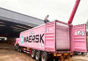 Maison extensible préfabriquée en conteneur d'expédition de 40 pieds et 20 pieds à vendre, maison préfabriquée en acier léger pliable, villa à 2 chambres - Product Image 4