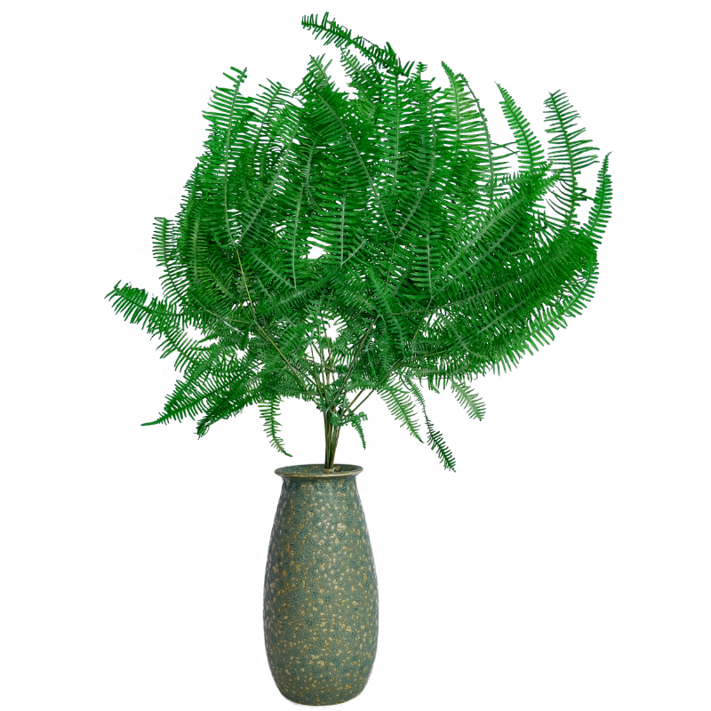 Natrliche getrocknete unsterbliche konservierte ewige groe Farn bltter  fr Blumen laub anordnung konservierte Dicranopteris linearis| Alibaba.com