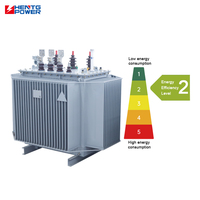 Transformateur immergé dans l'huile haute efficacité de 315 kVA à 1500 kVA, 33 kV 0,4 kV, pour les systèmes électriques industriels et commerciaux africains