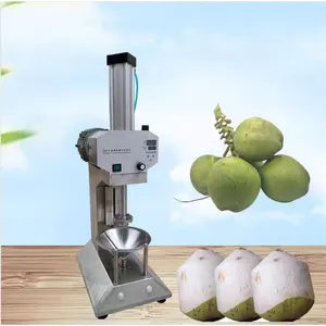 Machine à éplucher la noix de coco compacte pour la production à petite échelle