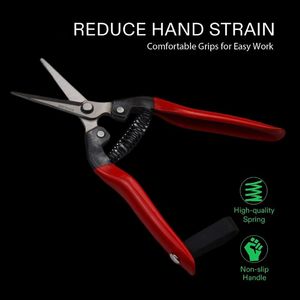 กรรไกรทําสวนขนาด 6.5 นิ้วสีแดงตรงใบมีดสแตนเลสมือตัดแต่งกิ่งเฉือนคมเคล็ดลับก้นแหลมขอบเรียบ OEM - Product Image 3