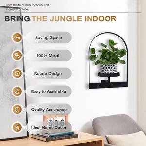 Étagère murale à cadre en métal simple et moderne pour plantes Étagère à fleurs d'intérieur Assemblage facile pour les amoureux des plantes Plateau pour pots de fleurs - Product Image 2
