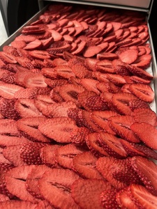 Équipement Commercial de Lyophilisation sous Vide pour Bonbons, Fruits et Café, Grande Capacité 30KG, Machine de Séchage par Congélation pour Aliments avec <span class=keywords><strong>Pompe</strong></span> - Product Image 3