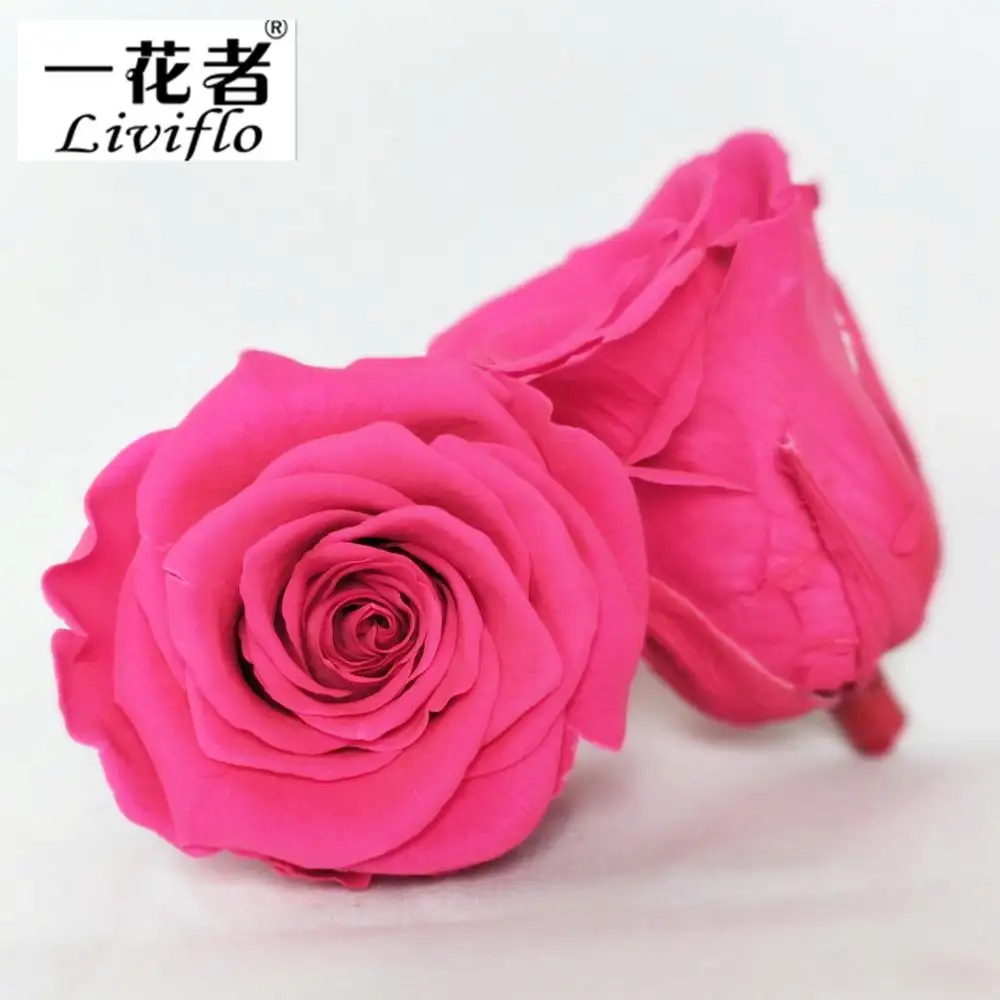 China fabriek levering groothandel 5-6cm eeuwige bloem hoofd bewaard rose