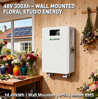 Baterai Lithium Ion 14kWh 48V 300Ah untuk Sistem Surya All in One yang Dipasang di Dinding dengan Roda