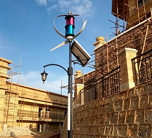 Three-Phase AC Magnet <b>Generator</b> Vertical Axis Wind <b>Power</b> Generation System With Digital TP-W50 Wind <b>Generator</b> TP-W50 - Product Image 3