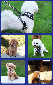 Großhandel: Maßgeschneidertes Hundegeschirr-Set mit Leine – Atmungsaktives, verstellbares, bedrucktes Hundegeschirr für Spaziergänge, ausbruchsicher, strapazierfähig - Product Image 6