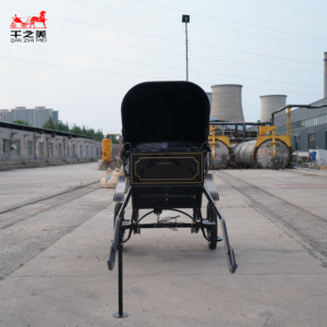 2026 <span class=keywords><strong>Chariot</strong></span> <span class=keywords><strong>à</strong></span> chevaux vintage de haute qualité, promotion, excellent <span class=keywords><strong>chariot</strong></span> <span class=keywords><strong>à</strong></span> 2 roues pour mini-chevaux, <span class=keywords><strong>à</strong></span> vendre, <span class=keywords><strong>chariot</strong></span> de défilé - Product Image 5