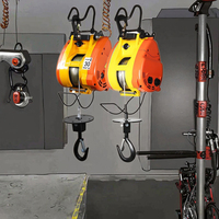 220V Mini palan électrique nouveau ménage petite grue Machine de levage treuil chaîne élingue acier matériel ménage palan électrique