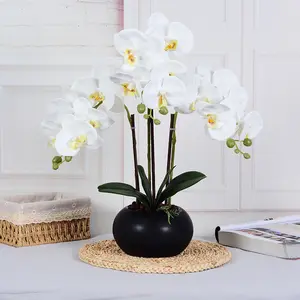 Tanaman simulasi Nordic Cabang Panjang bunga phalaenopsis, pot anggrek untuk rumah ruang tamu dekorasi bunga