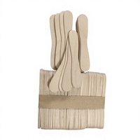 Bâtonnets de crème glacée écologiques en bois de bouleau lisse de 94 mm, faits maison, portables et jetables, vente directe d'usine