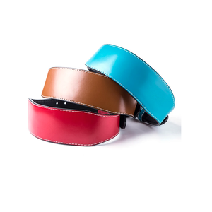 Cinturón de levantamiento de pesas de cuero marrón ajustable hebilla de soporte de cintura de entrenamiento de gimnasio neopreno 13mm unisex nueva llegada OEM Fitness - Product Image 2