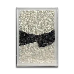 Minimalist Acrylic Framed Black And White Mixed Media 3D Wall Decor For Living Room