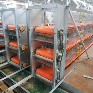 <span class=keywords><strong>Cage</strong></span> de caille automatique professionnelle de haute qualité <span class=keywords><strong>Cage</strong></span> à oiseaux de caille Cages de caille pour la production d'œufs - Product Image 4