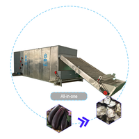 Continue fruit- en groentedroger, auberginedroger, machine met transportband voor aubergines