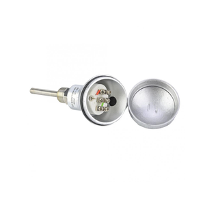 Sonde de température PT100 RTD personnalisable 400mm 500mm avec filetage NPT 1/2 pouce, thermocouple, support OEM/ODM, type PT100 - Product Image 2