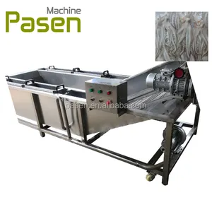 Vegetable ice coating machine shrimp ice glazer machine basa fish Ice covering machine