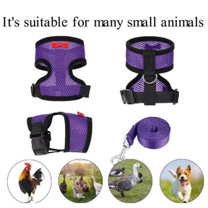 Muestra gratuita: Arnés de entrenamiento transpirable de malla de aire ajustable para gallinas, patos, gansos y gallos pequeños, con correa. - Product Image 4