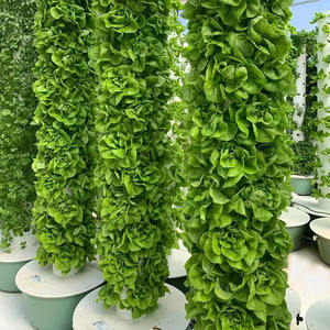 NOUVEAU Système de jardinage vertical aquaponique et hydroponique, kit de culture intérieur avec pompe, écologique, facile à utiliser - Product Image 6