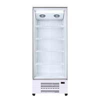 Congélateur vertical commercial à une porte, haute qualité, prix de gros, refroidisseur à air pour boissons froides avec OEM et ODM