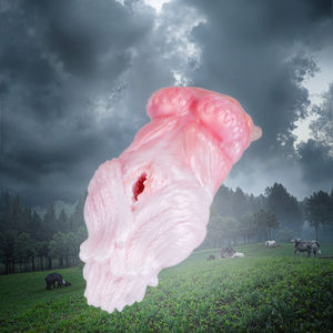 Geeba Fantasie Dier Pussy Zak Vagina Mannelijke Masturbator Siliconen Zachte Pussy Kunstvagina Voor Mannen Masturbatie Seksspeeltjes - Product Image 1