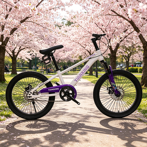 Bicicletta da 20 pollici per <span class=keywords><strong>bambini</strong></span> di buona qualità, mountain bike, confezione in cartone AB, bici sportiva - Product Image 5