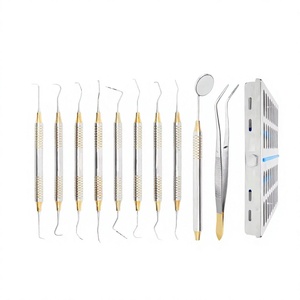 Kit d'instruments pour hygiénistes dentaires, 10 pièces, manuel, acier inoxydable allemand, cassette de stérilisation, chirurgie générale professionnelle - Product Image 1
