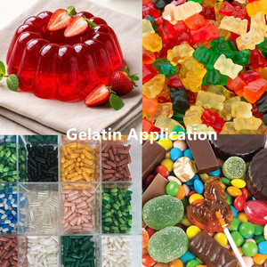 Poudre de <span class=keywords><strong>Caramel</strong></span> Naturelle Pure Qualité Alimentaire pour Boulangerie & Boissons Saveur Riche Additif Colorant <span class=keywords><strong>Caramel</strong></span> Sucre Caramélisé Instantané en Vrac - Product Image 4