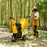 AUSTTER approuvé CE 6.5HP Briggs & Stratton/Ducar/Lifan/Loncin/Rato petit moteur à essence déchiqueteuse de bois déchiqueteuse