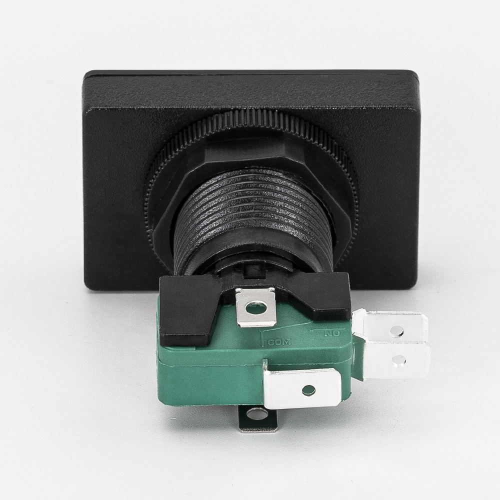 Nintendo Switch - ぱく丸 51iyUDGpRJL.jpg_BO30,255,255,