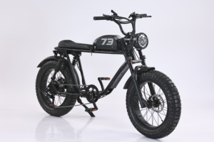 Vélo électrique de ville EBIKE 500W 48V avec pneus larges de 20 pouces, batterie 20Ah, vitesse 45 km/h, moteur à moyeu arrière 6 vitesses, pour les déplacements urbains et les loisirs - Product Image 2