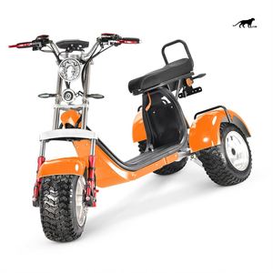 Motocicleta doble de 2000W, triciclo para adultos, patinete eléctrico de 3 ruedas, pantalla LCD personalizada, 60V, 10 pulgadas, Sidecars, triciclo, 2 manos abiertas, 225 - Product Image 3