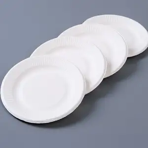 Best Selling Dagelijks Gebruik Producten Bagasse Plaat Servies Sets Diner Platen