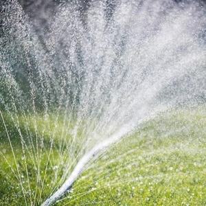 Micro Spray Tape Tube PE Tape Système d'irrigation de ferme agricole Tuyau de pluie Irrigation par pulvérisation laser - Product Image 2