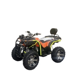 <span class=keywords><strong>Quad</strong></span> 4x4 250cc à transmission par arbre, véhicule tout-terrain, buggy de plage et de montagne, moto à 4 roues - Product Image 5