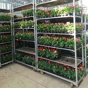 फूल परिवहन कार्ट नर्सरी ट्रॉली रोलिंग प्लांट रैक यूरो फूल कार्ट - Product Image 1