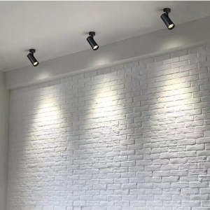 <span class=keywords><strong>Led</strong></span> bề mặt gắn COB trần gắn điều chỉnh góc Spotlight chiếu sáng trong nhà nền tường Poly Ánh sáng Downlight mới - Product Image 2