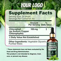 Gouttes liquides de chlorophylle pour la digestion, la santé intestinale, l'énergie, la détoxification, le soutien immunitaire, végétalien, 2 oz, saveur menthe poivrée, adultes, femmes enceintes